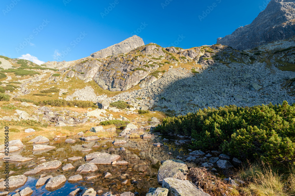 Beautiful Mountain Landscape in the High Tatra (Zielona Dolina Gasienicowa)
