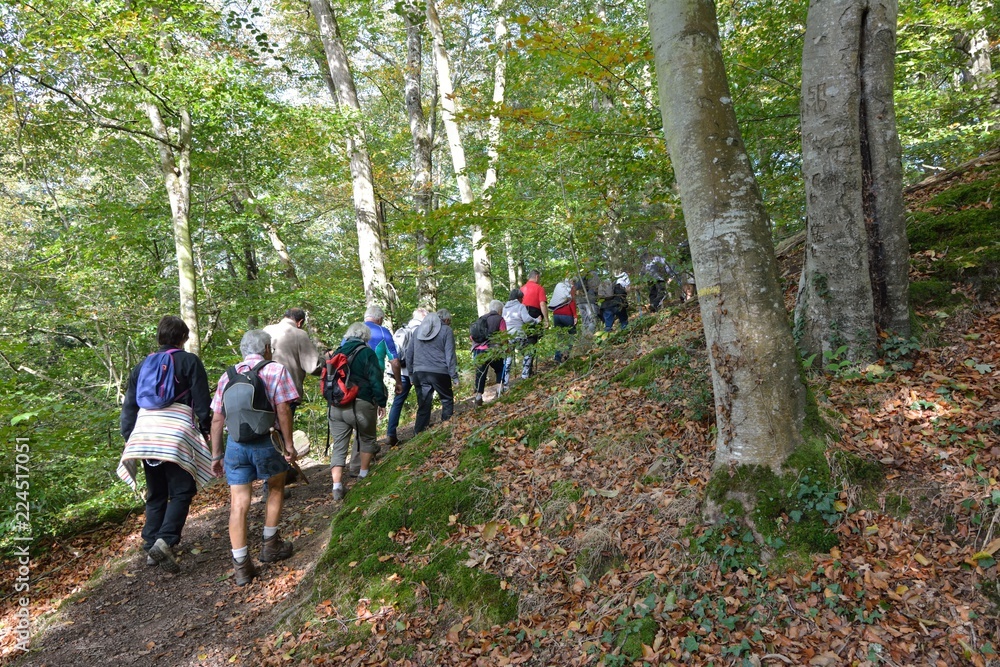 Groupe de randonneurs seniors dans les bois de Bretagne en automne Groupe de randonneurs seniors dans les bois de Bretagne en automne