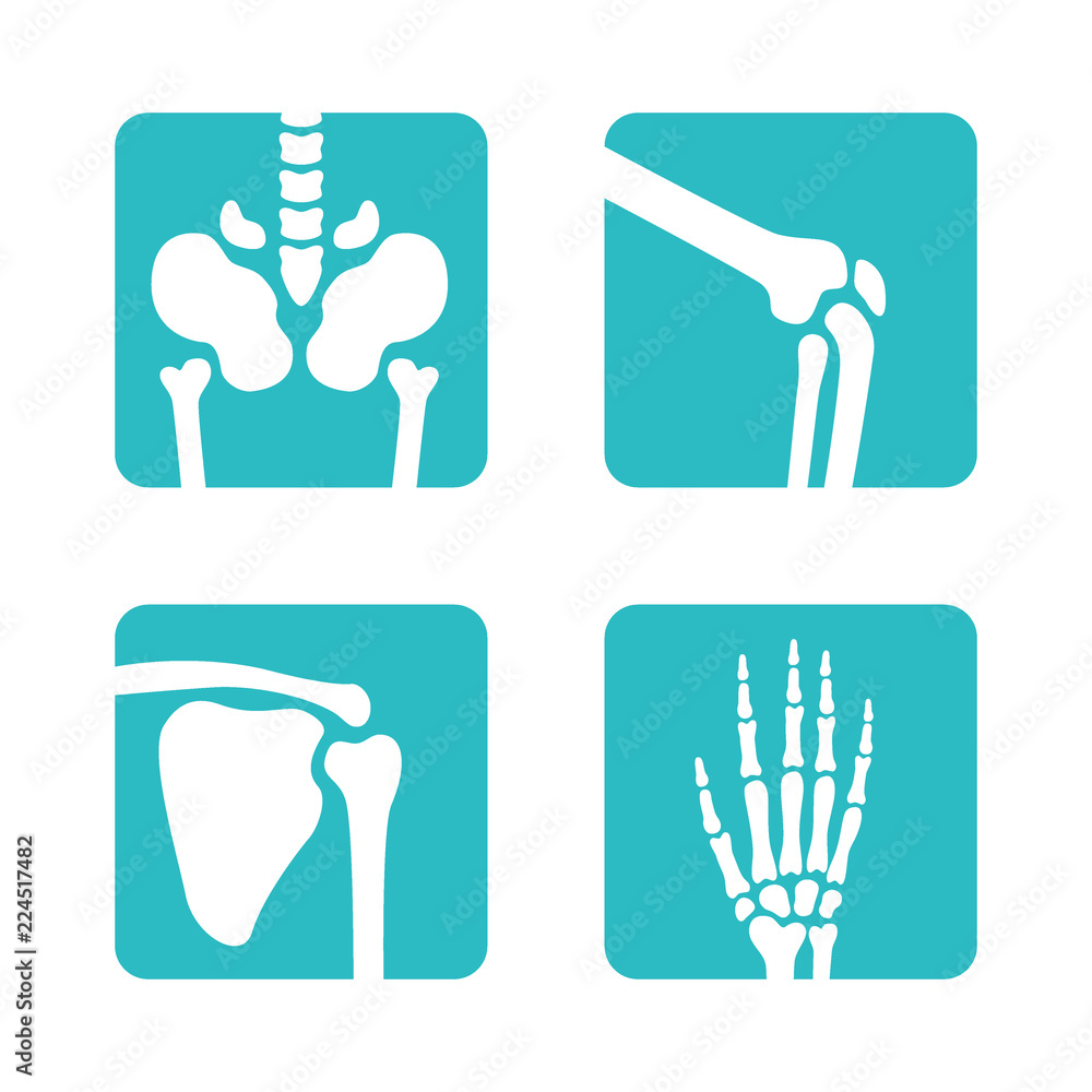 Set of orthopedic and skeleton bones symbols. Vector pelvis, knees ...