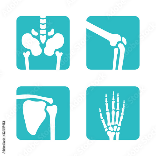 Set of orthopedic and skeleton bones symbols. Vector pelvis  knees  scapula  hand icons. Medical app buttons