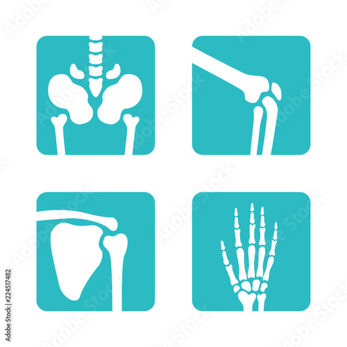 Set of orthopedic and skeleton bones symbols. Vector pelvis, knees, scapula, hand icons. Medical app buttons