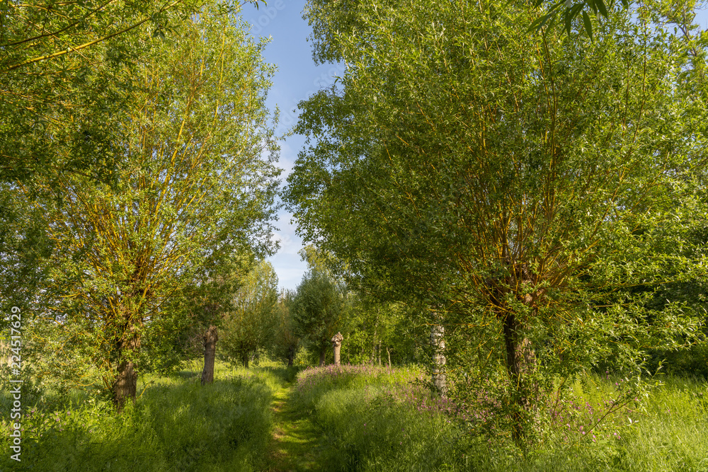 Le Parc d'Isle à Saint-Quentin (02)