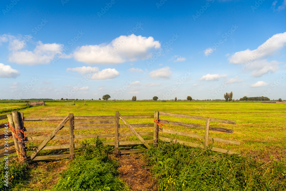 Picturesque Dutch polder landscape with wooden gate in foreground