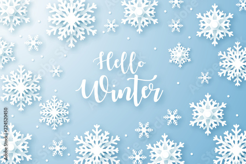 Fototapeta Naklejka Na Ścianę i Meble -  Hello Winter design background. Origami snowfall. Vector Illustration.