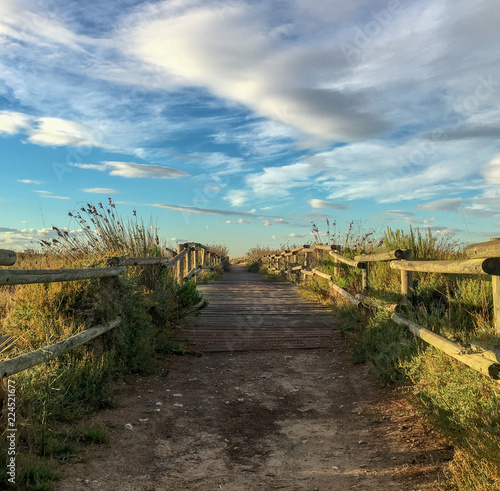 Road to beach