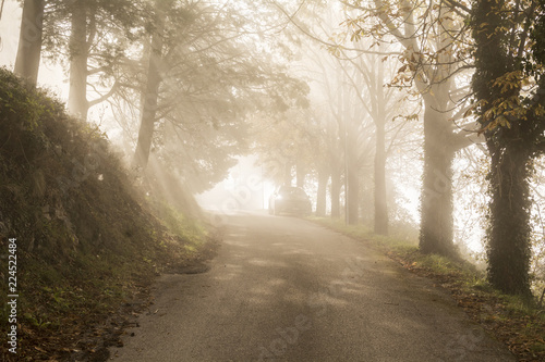 Una via autunnale tra nebbia e raggi di sole