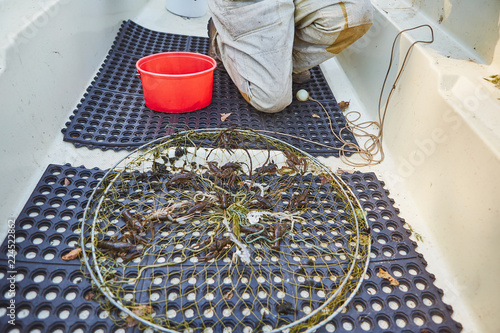 Process of cacthing  crawfish  and tackle in sweet water mountain lake photo