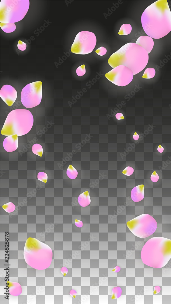 Vector Realistic Pink Petals Falling on Transparent Background. Spring Romantic Flowers Illustration. Flying Petals. Sakura Spa Design. Blossom Confetti. Vector Realistic Pink Petals Falling on Transparent Background. Spring Romantic Flowers Illustration. Flying Petals. Sakura Spa Design. Blossom Confetti.