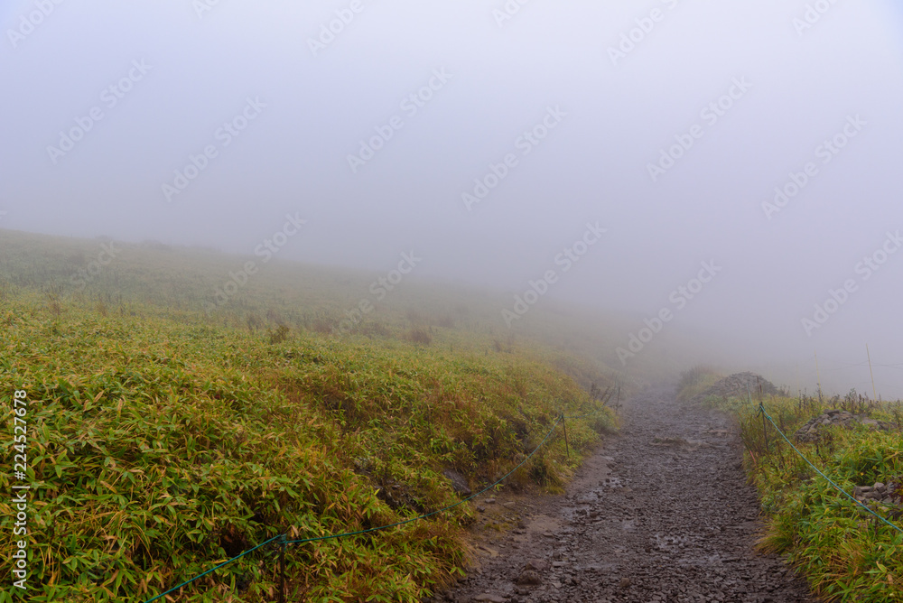 霧の登山道