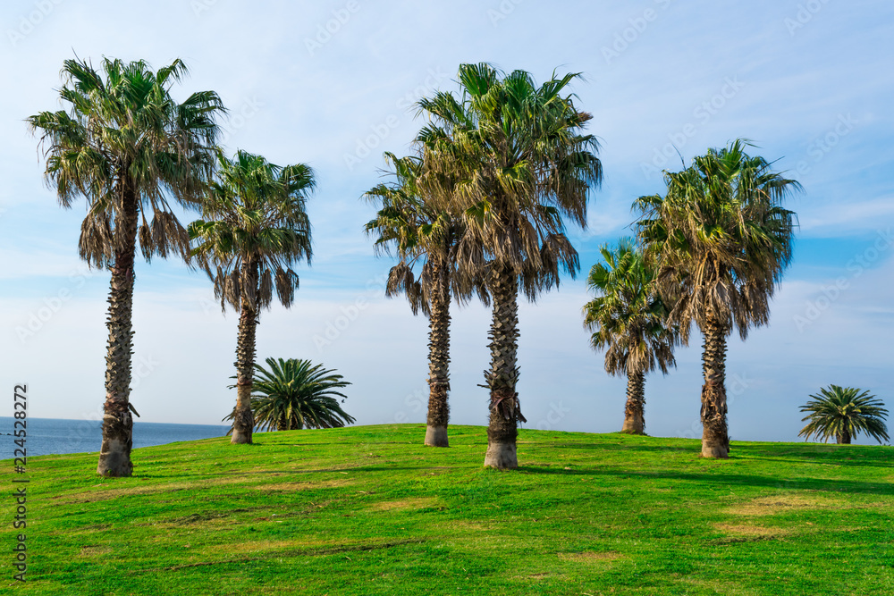 Montevideo,playa