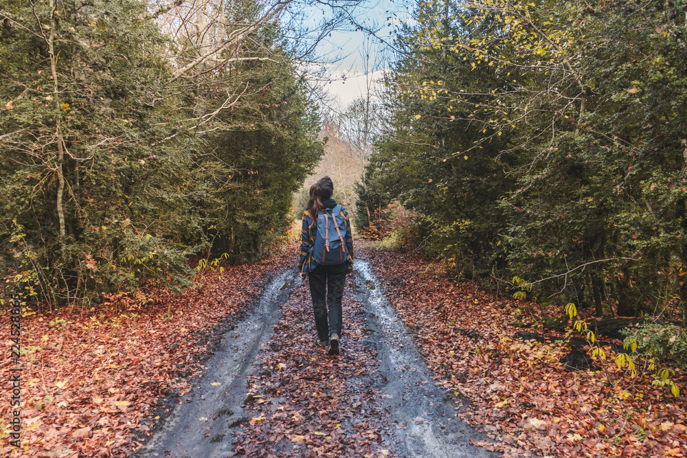 Spain, Ordesa y Monte Perdido National Park, back view of woman with backpack in autumn Spain, Ordesa y Monte Perdido National Park, back view of woman with backpack in autumn