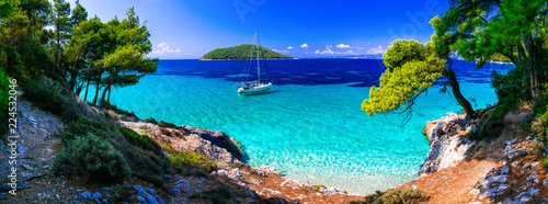Fotografie, Obraz Wild beauty and best beaches of Skopelos island