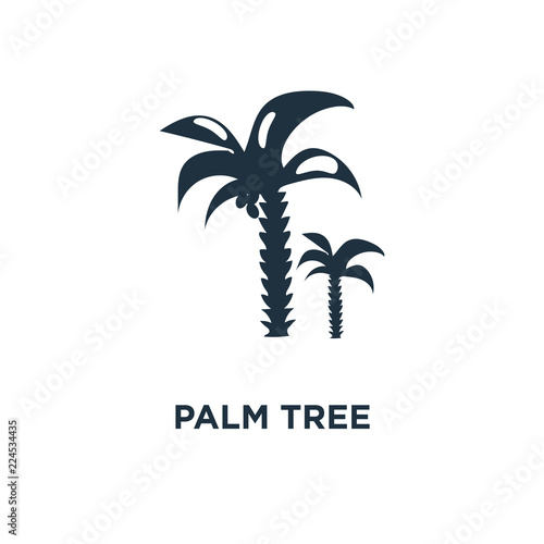 palm tree icon