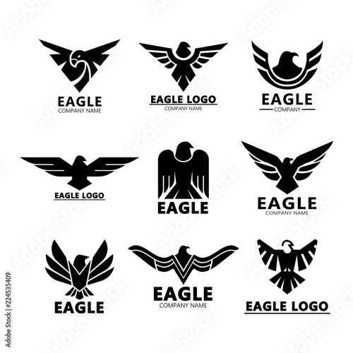 Black eagles silhouette for company branding