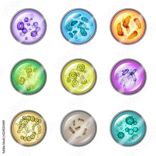 Plates with bacteria or petri dish with virus