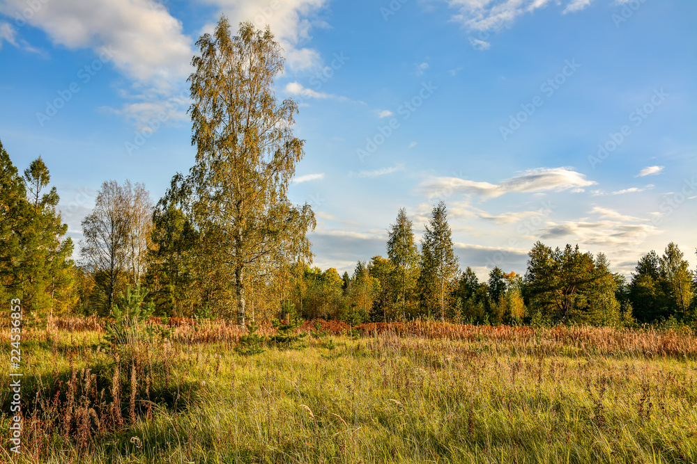Obraz premium Sunny autumn evening in the country.Shadows from the setting sun.