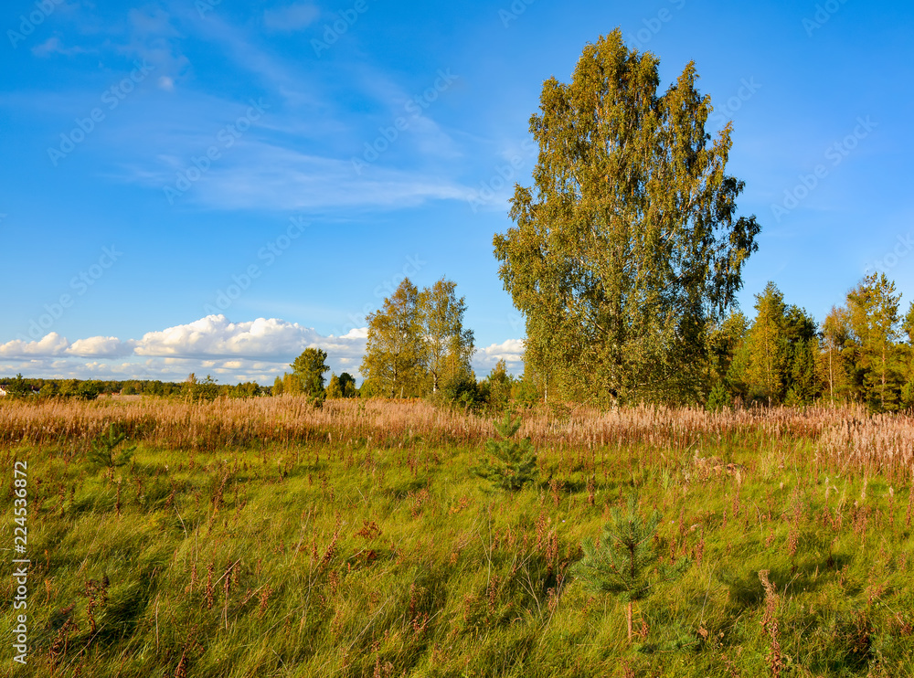 Sunny autumn evening in the country.Shadows from the setting sun. Sunny autumn evening in the country.Shadows from the setting sun.