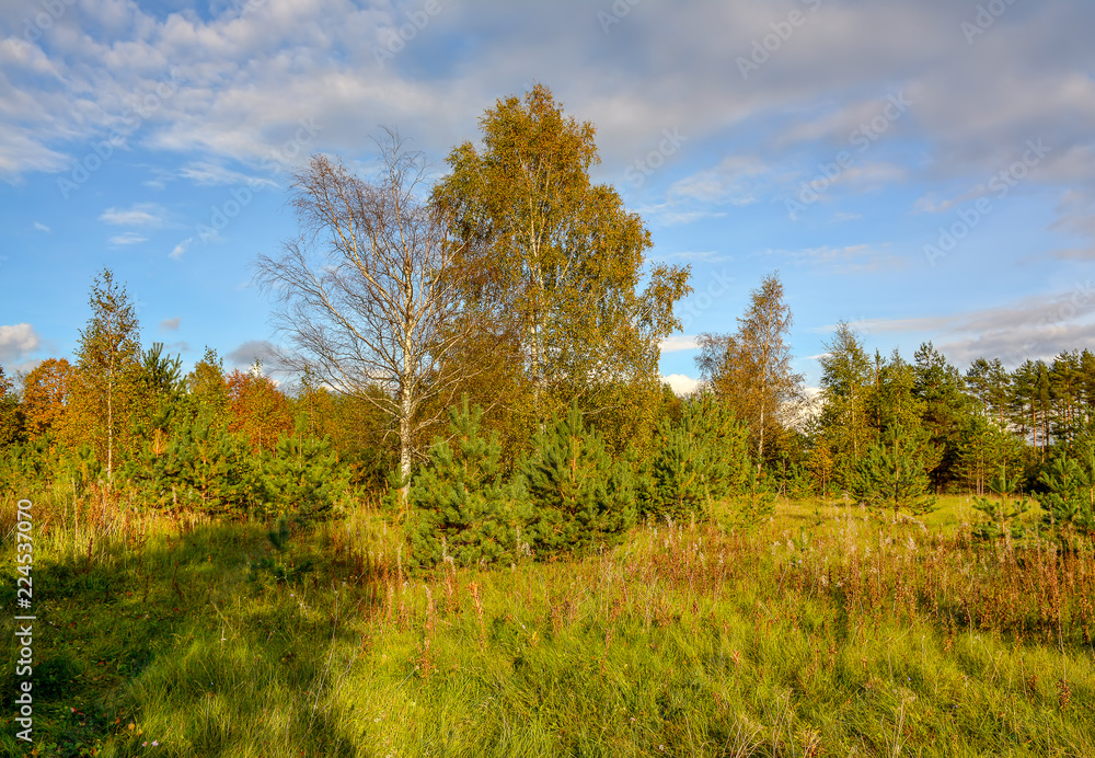Sunny autumn evening in the country.Shadows from the setting sun. Sunny autumn evening in the country.Shadows from the setting sun.