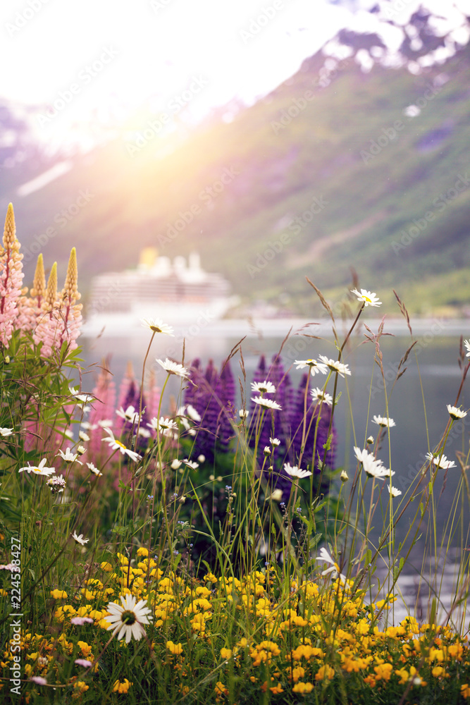 Fototapeta premium mountain landscape and pink lupine