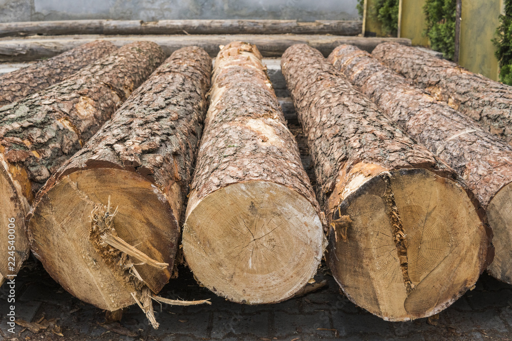 A pile of logs lie on a forest platform, a sawmill. Processing of timber at the sawmill. A pile of logs lie on a forest platform, a sawmill. Processing of timber at the sawmill.