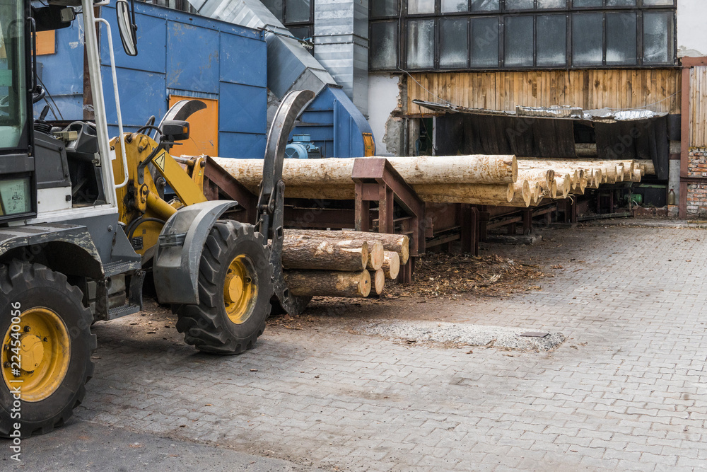 Forklift truck grabs wood in a wood processing plant. Large log loader unloading a log truck in the log yard at a conifer log mill. Processing of timber at the sawmill.