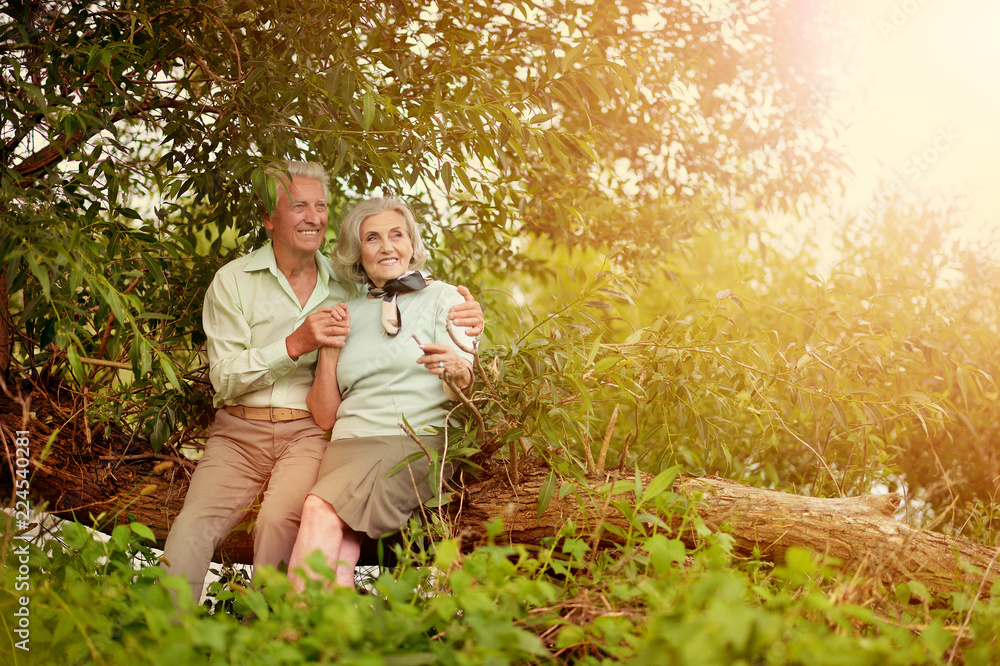 Fototapeta premium Loving mature couple sitting on tree trunk