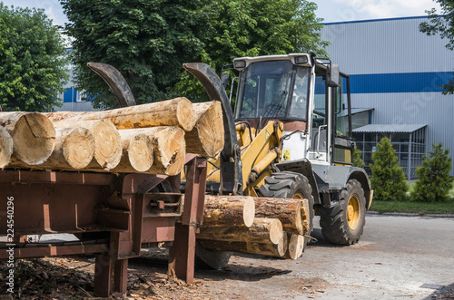 Forklift truck grabs wood in a wood processing plant. Large log loader unloading a log truck in the log yard at a conifer log mill. Processing of timber at the sawmill.