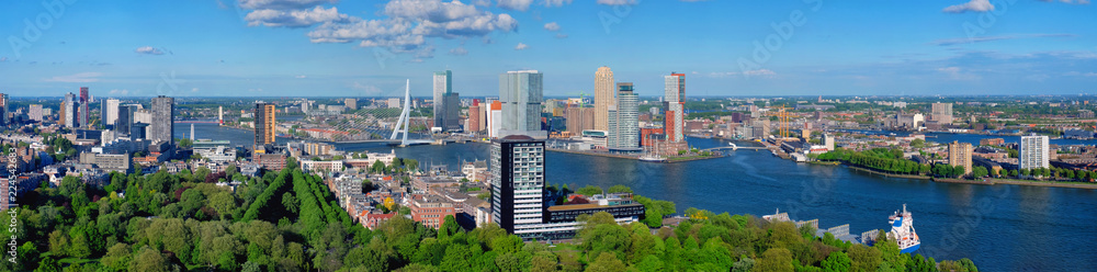View of Rotterdam city and the Erasmus bridge - obrazy, fototapety, plakaty 