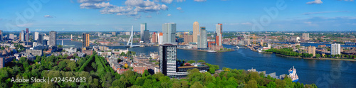 View of Rotterdam city and the Erasmus bridge photo