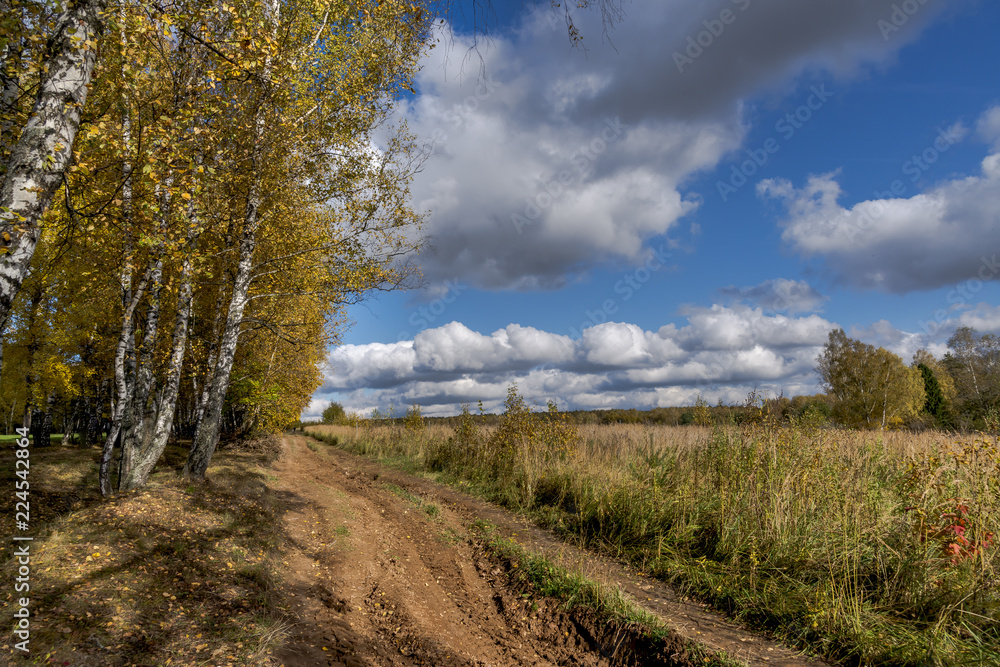 Fototapeta premium Autumn landscape