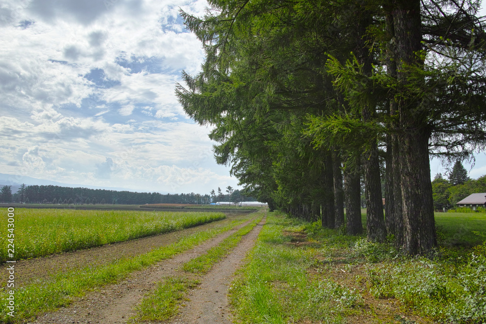 Obraz premium 茨城農場長野支場