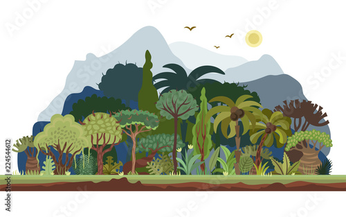 Vector tropical rainforest landscape with palms and other tropical trees. Tropical forest panoramic illustration. Flat vector design of tropical forest landscape in light green summer colors