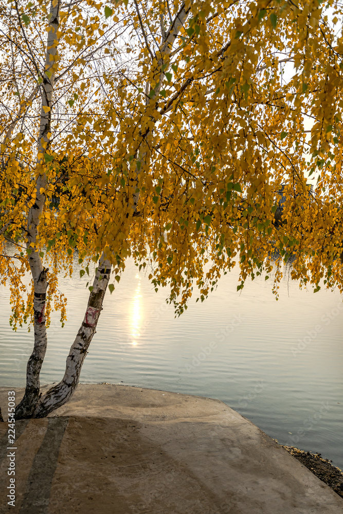 Obraz premium Autumn landscape