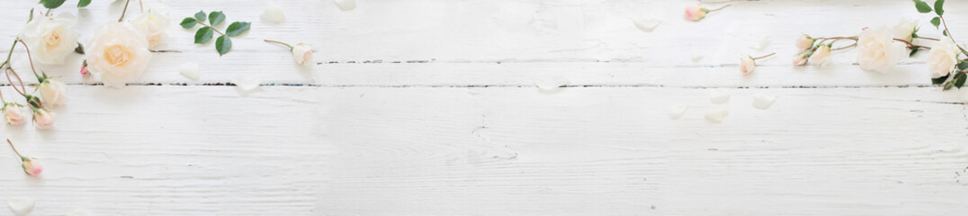 roses on white wooden background