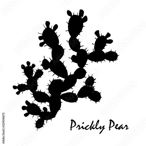 Prickly pear business card design. Big, old, and charismatic opuntia branch