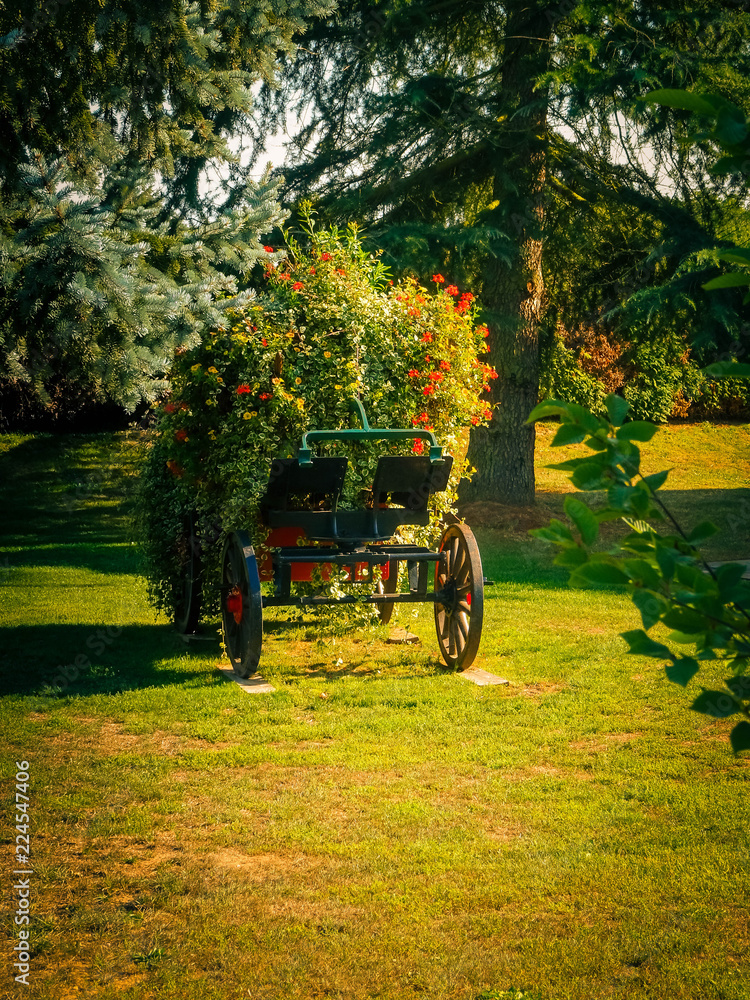 alte Kutsche mit bunten Blumen bepflanzt steht auf einer Wiese