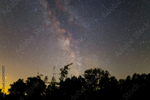 night forest silhouette under a milky way