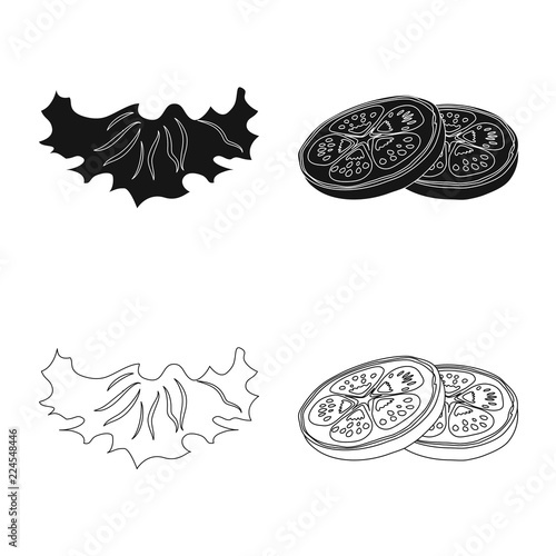 Vector illustration of burger and sandwich symbol. Collection of burger and slice stock vector illustration.