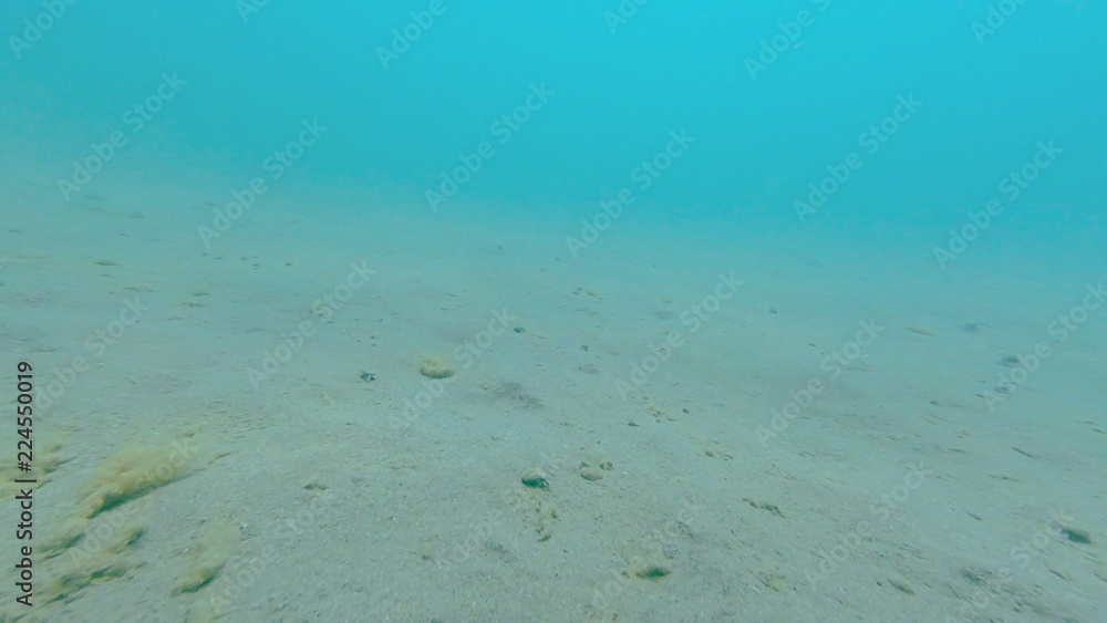 Photo underwater sandy bottom of the black sea in summer Photo underwater sandy bottom of the black sea in summer