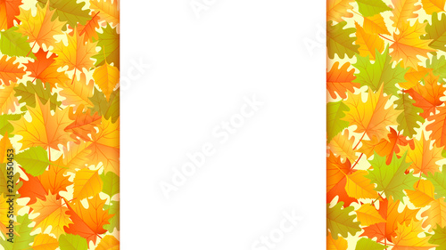 Autumn banner with colorful autumn leaves background with copyspace on the center. Vector illustration for fall season