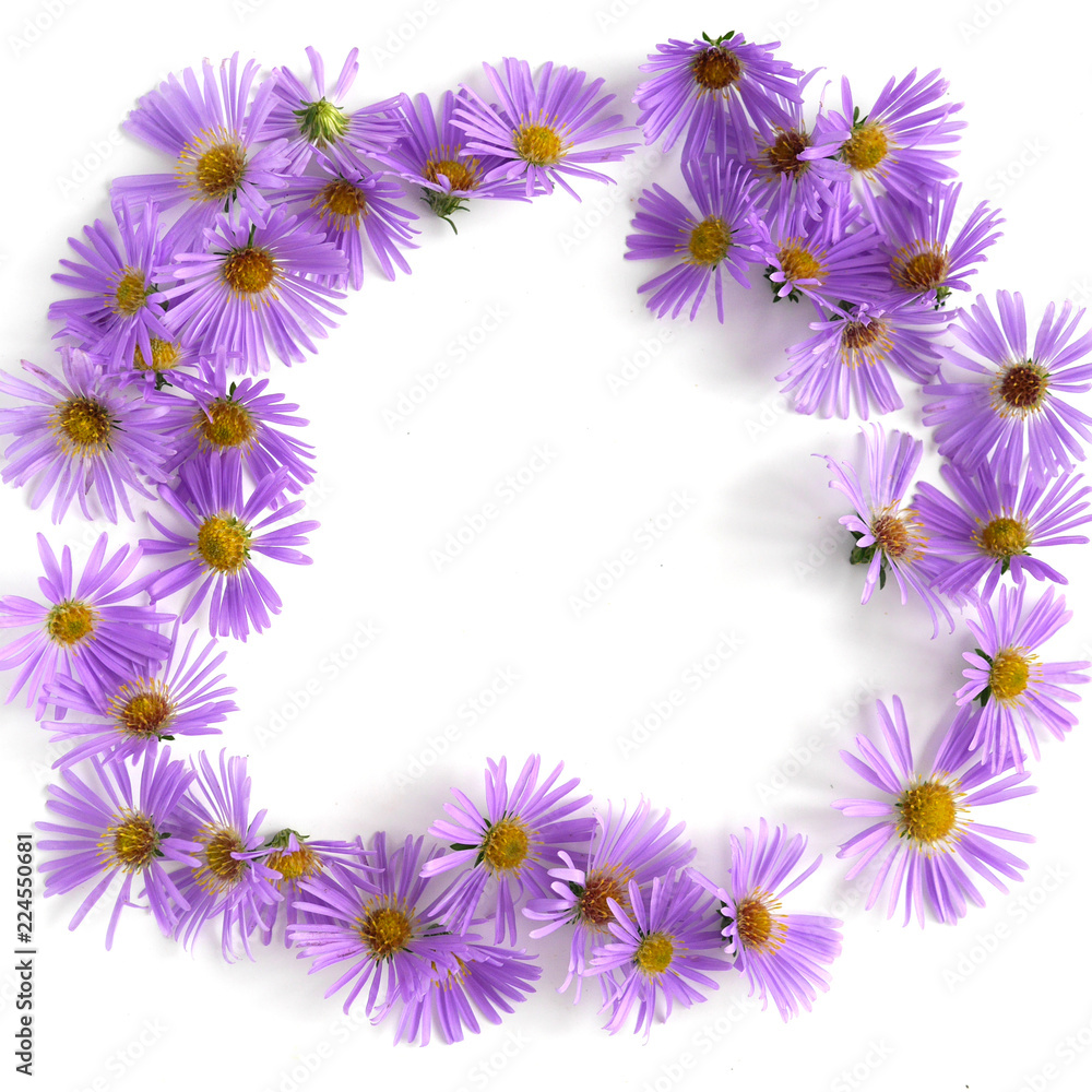 Floral frame with a place for an inscription, a top view, a flat lay Floral frame with a place for an inscription, a top view, a flat lay
