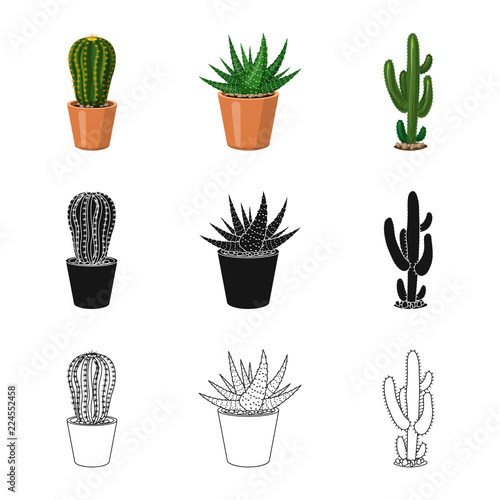 Vector illustration of cactus and pot sign. Set of cactus and cacti stock symbol for web. © Svitlana