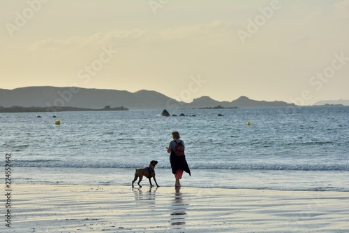 Un chien qui joue avec sa maîtresse le soir sur une plage en Bretagne. 