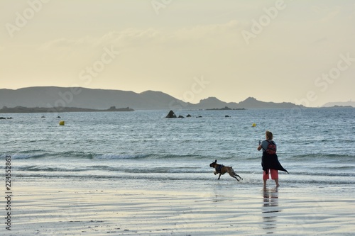 Un chien qui joue avec sa maîtresse le soir sur une plage en Bretagne. 