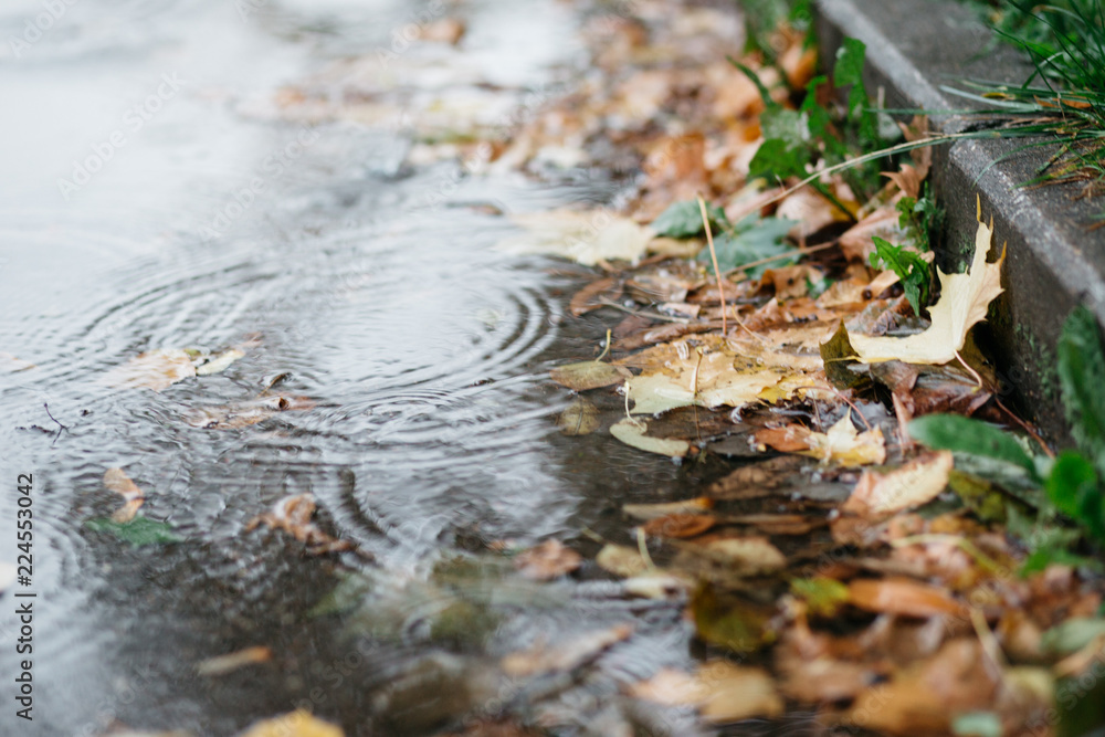 Drops of rain water on a fresh asphalt in the autumn, floating autumn leaves Drops of rain water on a fresh asphalt in the autumn, floating autumn leaves