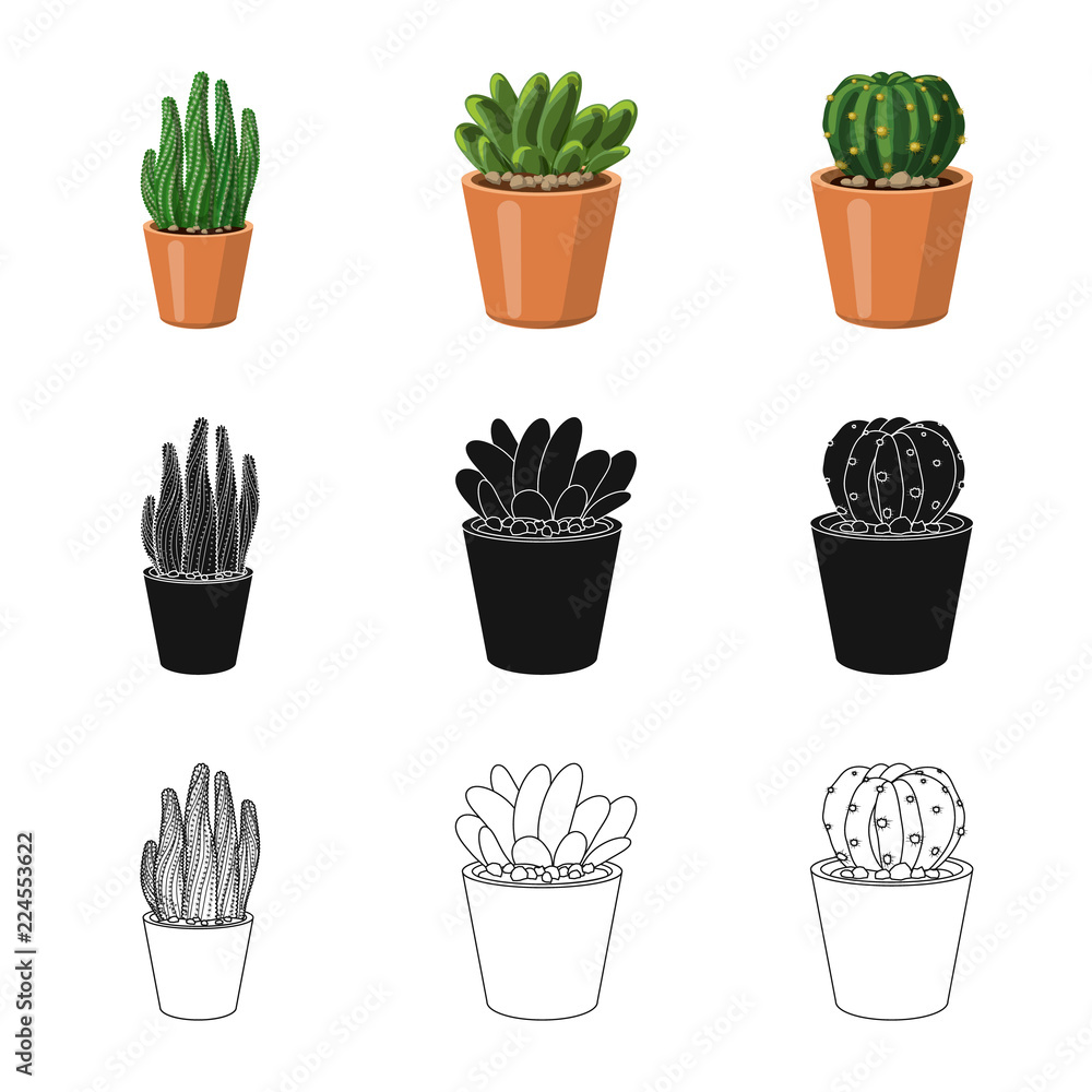 Fototapeta Vector design of cactus and pot logo. Collection of cactus and cacti vector icon for stock.