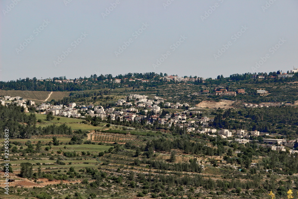photo of green Mountains with settlements near Jerusalem, Israel