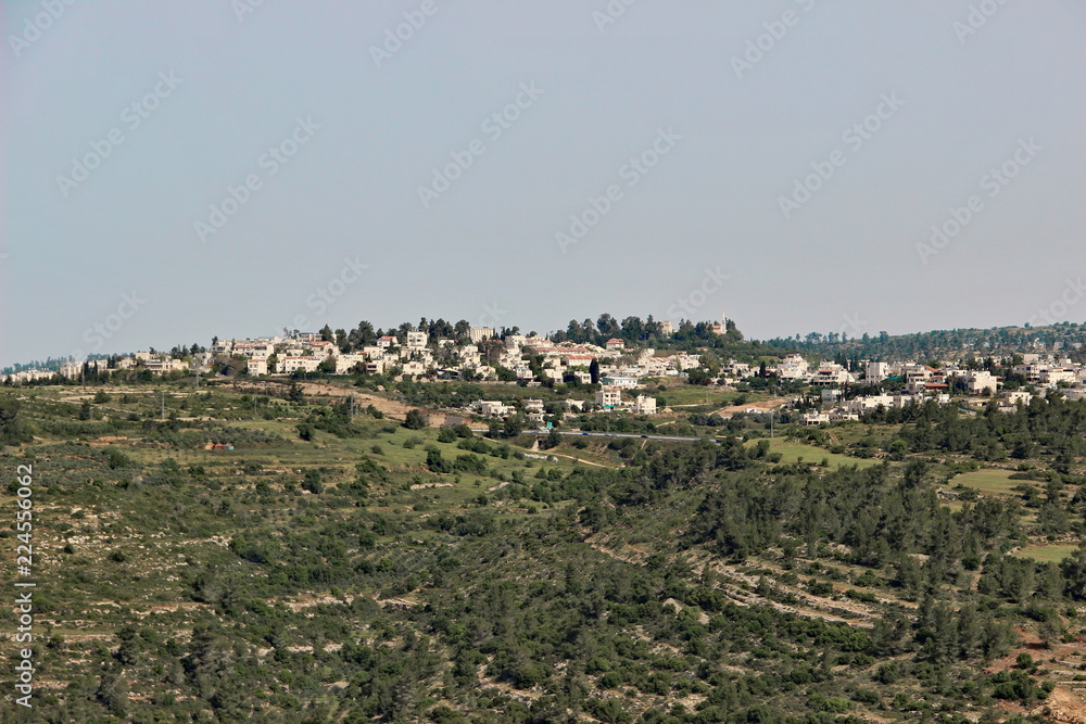 photo of green Mountains with settlements near Jerusalem, Israel