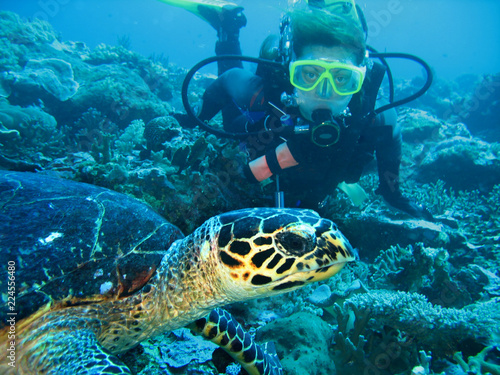 Closeup photo of a turtle and a young women scuba diver. The diver is looking forward. The turtle is on foreground.
