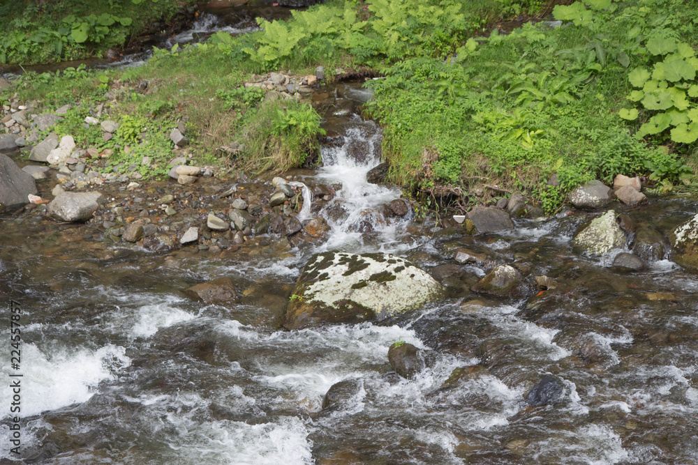 Fototapeta premium mountain river in resort sairme. Beautiful River clear water flowing through stones